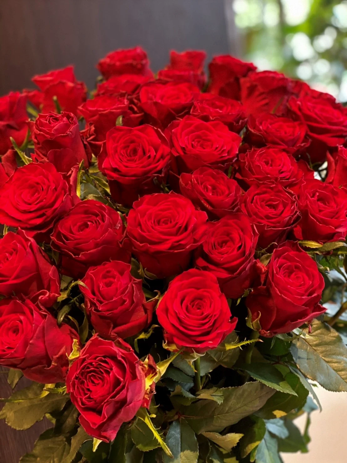 幾重にも重なる赤薔薇の花びらと、自然な緑の葉を近くから見た様子